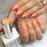 Apricot - immagine 2