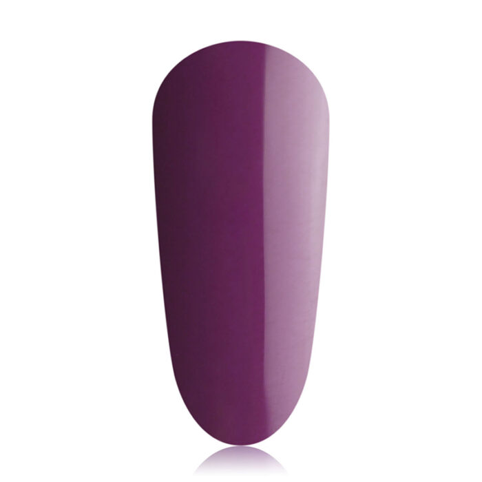 Aubergine - immagine 1