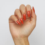 Ignite - immagine 2
