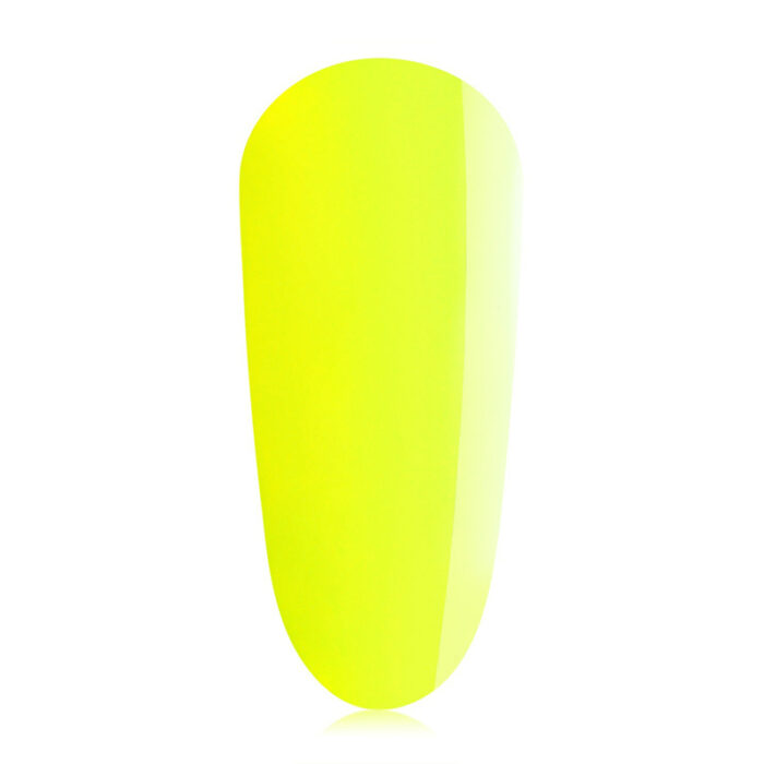 Kingcup - immagine 1