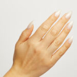 Mont Blanc - immagine 2