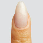 Mont Blanc - immagine 3