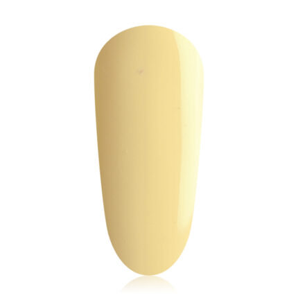 Pastel V110