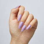 Provence - immagine 2