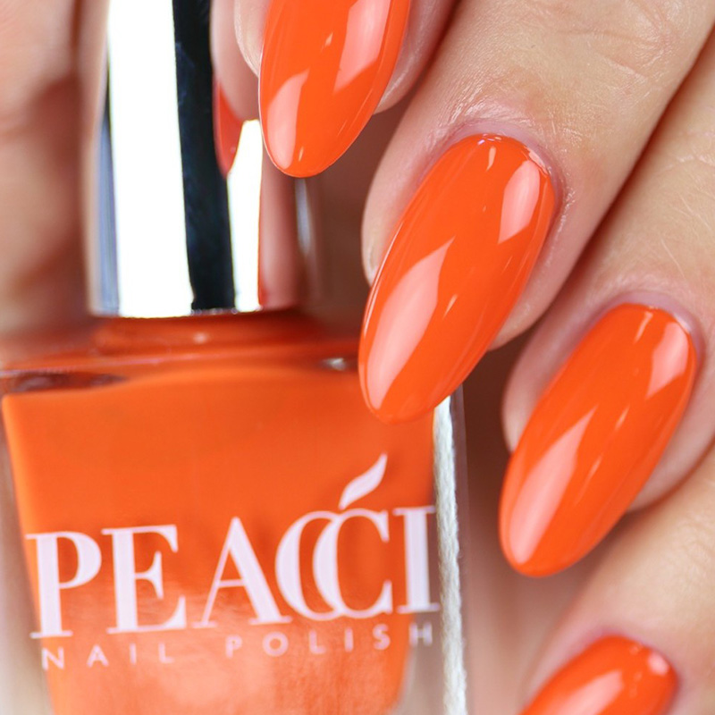 Pumpkin-1 Pumpkin Peacci - immagine 2