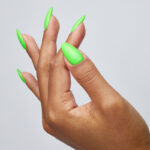 Rainbow - immagine 2