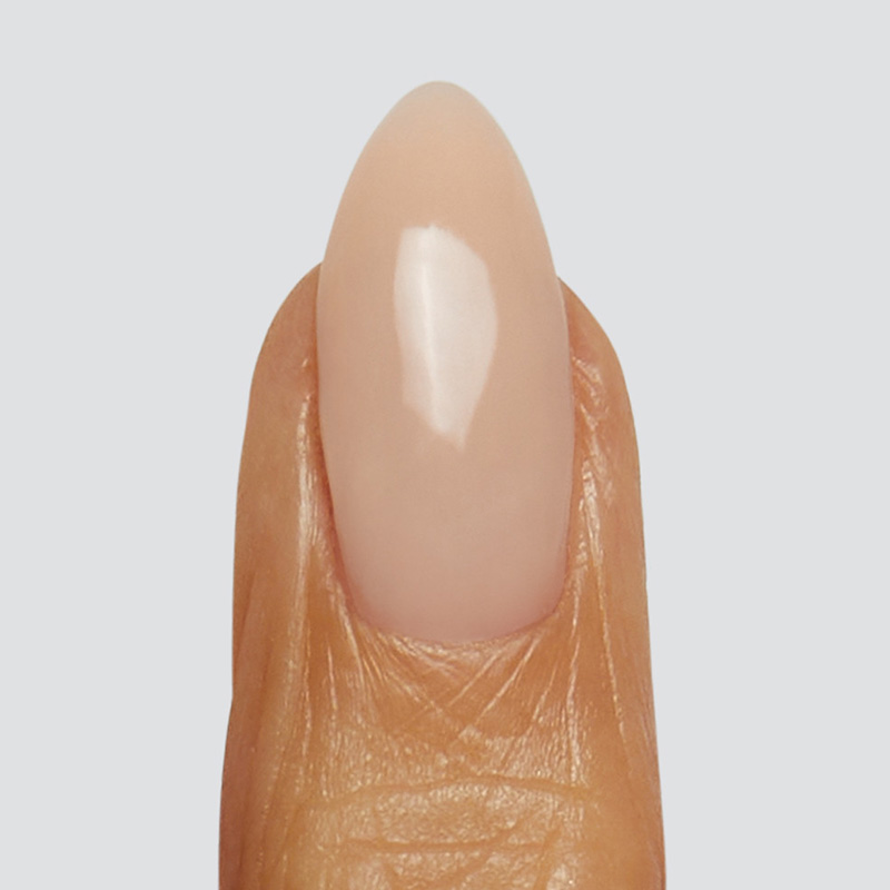 SHELL-2 Shell ProForm - immagine 3