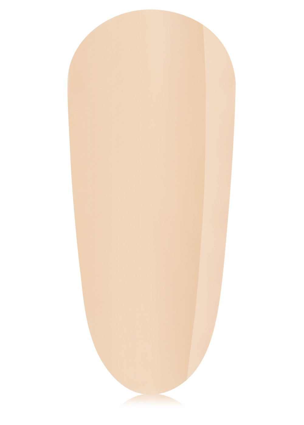 SHELL-3 Shell ProForm - immagine 4