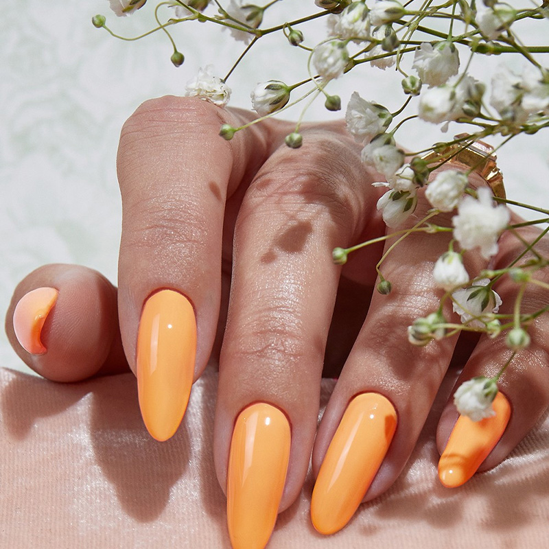 Turner’s_Sunset-1 Turner’s Sunset - immagine 2