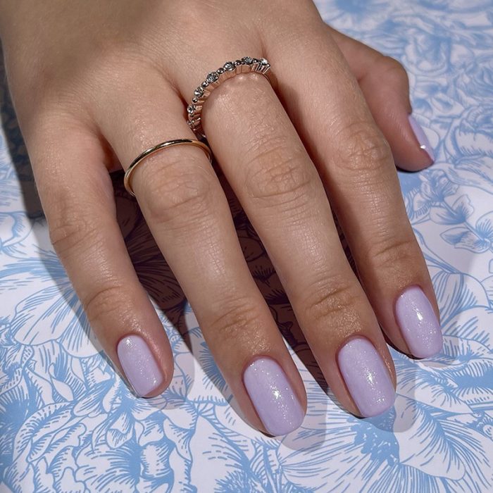 Wisteria Peacci - immagine 3