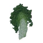 Emerald Chrome Powder - immagine 4